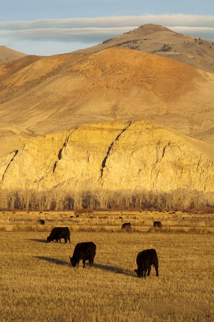 走進(jìn)企業(yè)